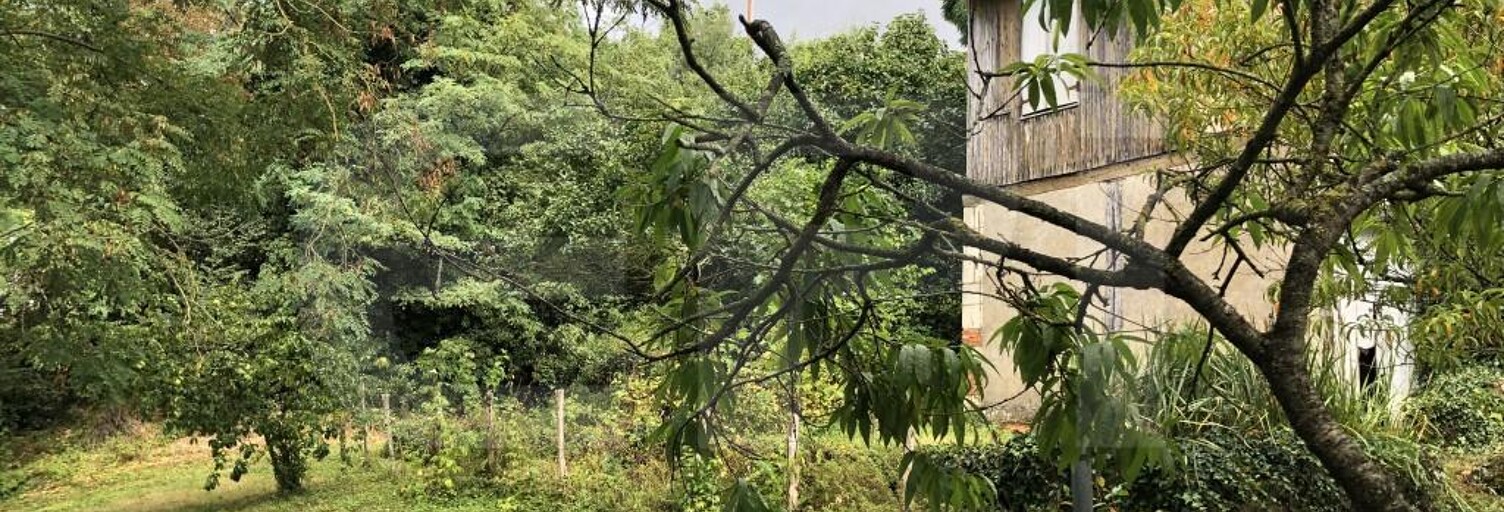 Maison 2 Pièces 35 m² à vendre à Montreuil-Bellay (49260)