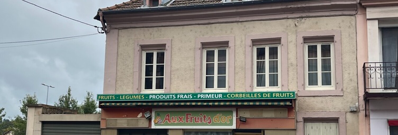 Maison 8 Pièces 154 m² à vendre à Baccarat (54120)