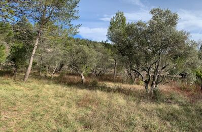 terrain 1900 m2 à construire à Camps-la-Source (83170)