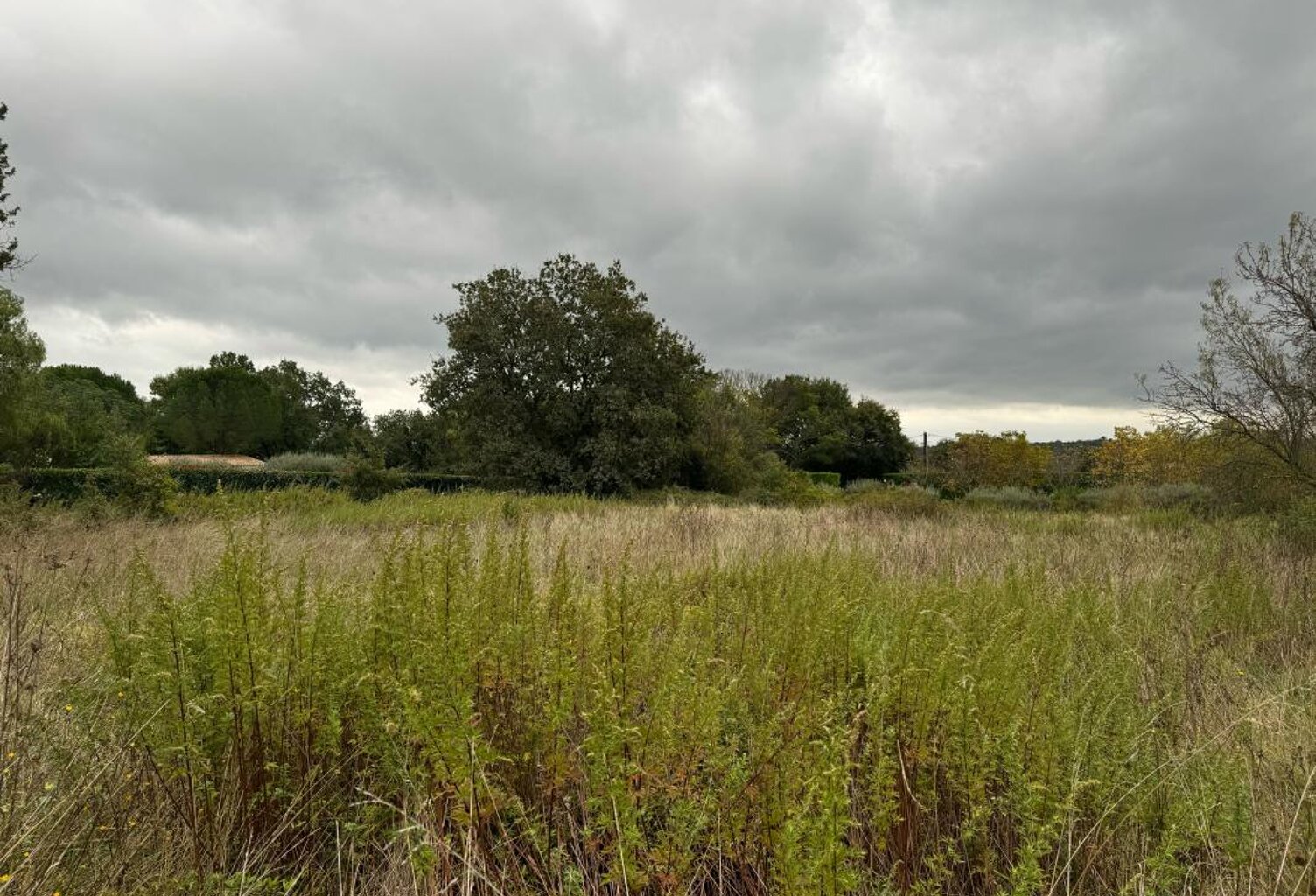 Terrain À Vendre — photo 1