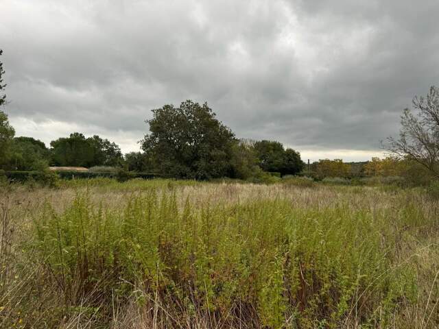 Terrain À Vendre — photo du bien
