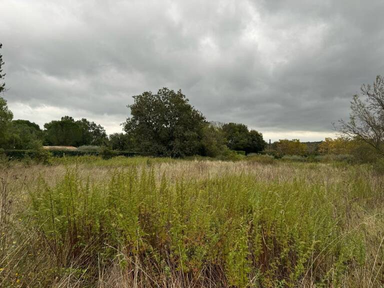 Terrain À Vendre — photo 1