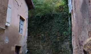Photo N° 11
