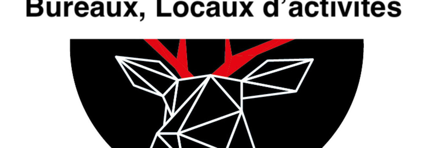 Commerce  150 m² à vendre à Saint-Bonnet-de-Mure (69720)