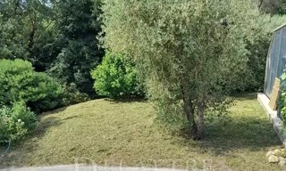 Photo N° 6
