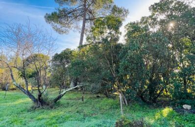 terrain  pièces 1000 m2 à vendre à La Teste-de-Buch (33260)