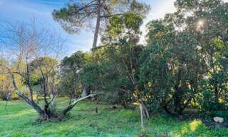 Terrain  1000 m² à vendre à La Teste-de-Buch (33260)