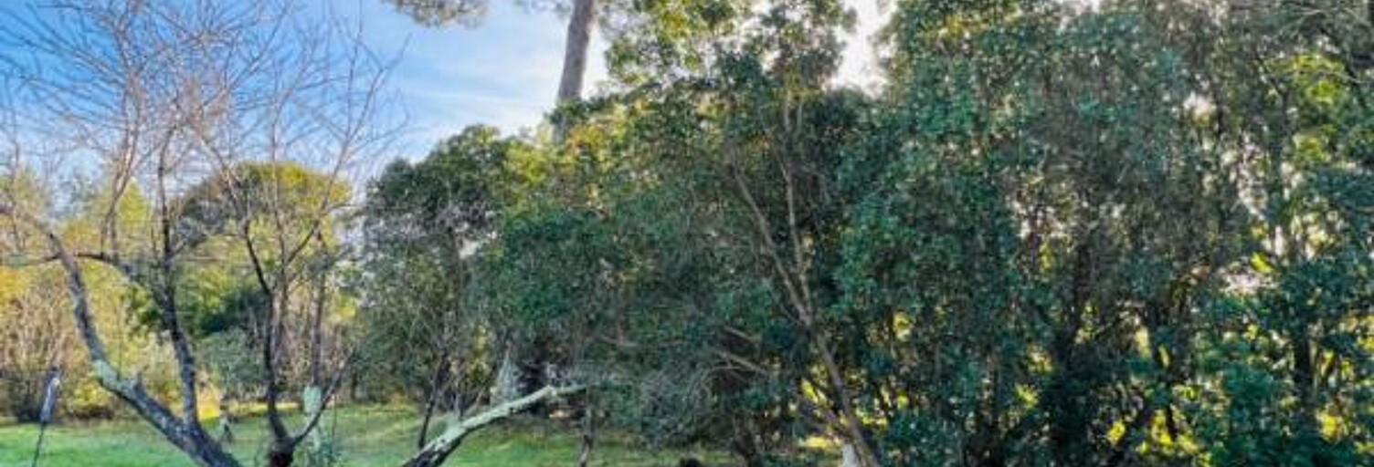 Terrain  1000 m² à vendre à La Teste-de-Buch (33260)