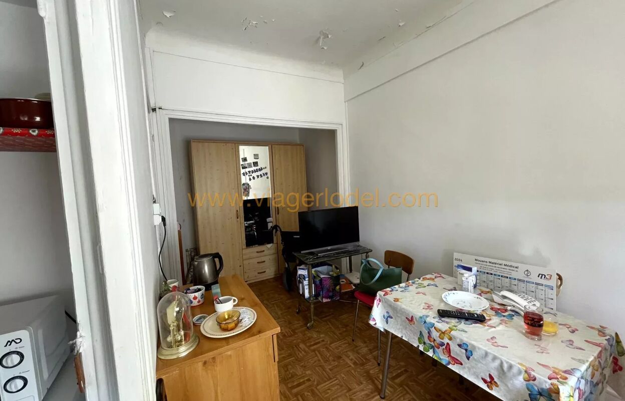 appartement 2 pièces 28 m2 à Cannes (06400)