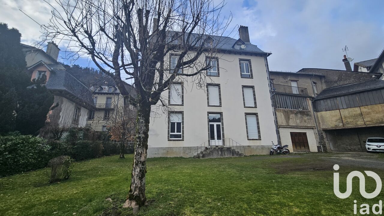 immeuble  pièces 262 m2 à vendre à Vic-sur-Cère (15800)