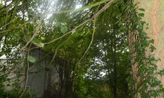 Terrain  1400 m² à vendre à Denier (62810)