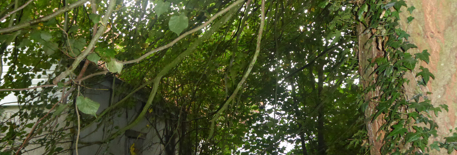 Terrain  1400 m² à vendre à Denier (62810)