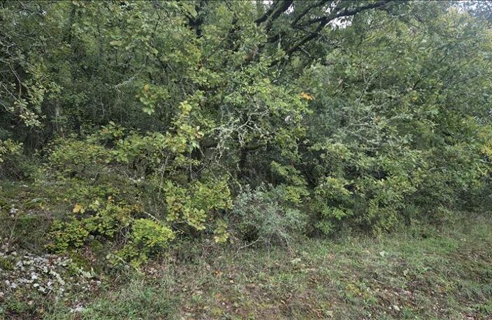 Vente terrain  2247 m² Souillac (46200) — photo 2