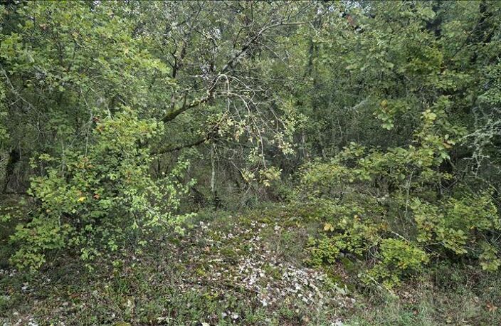 Vente terrain  2247 m² Souillac (46200) — photo 3