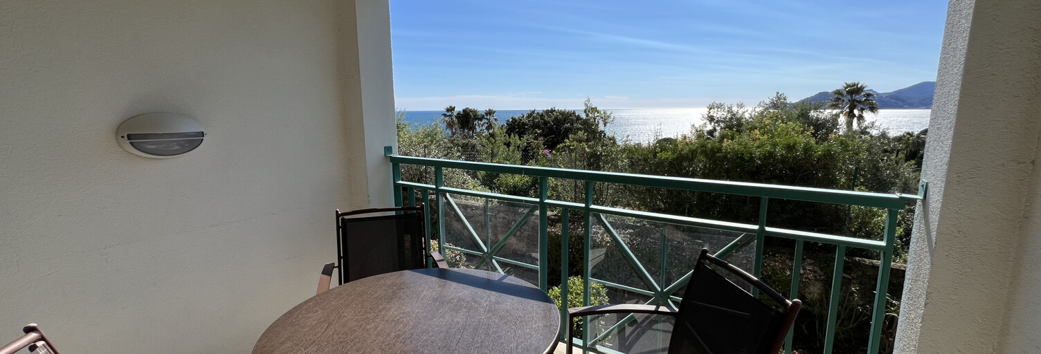 Appartement 2 Pièces 27 m² à vendre à Cannes (06400)