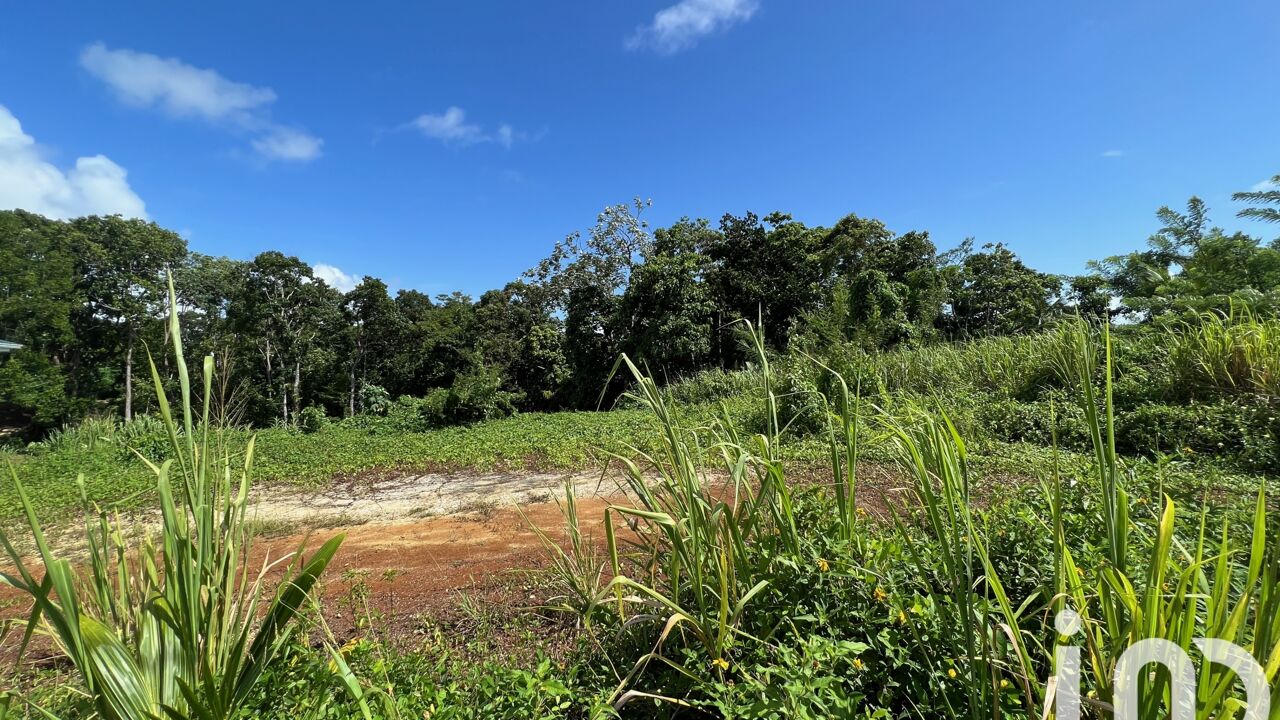 terrain  pièces 722 m2 à vendre à Petit-Bourg (97170)