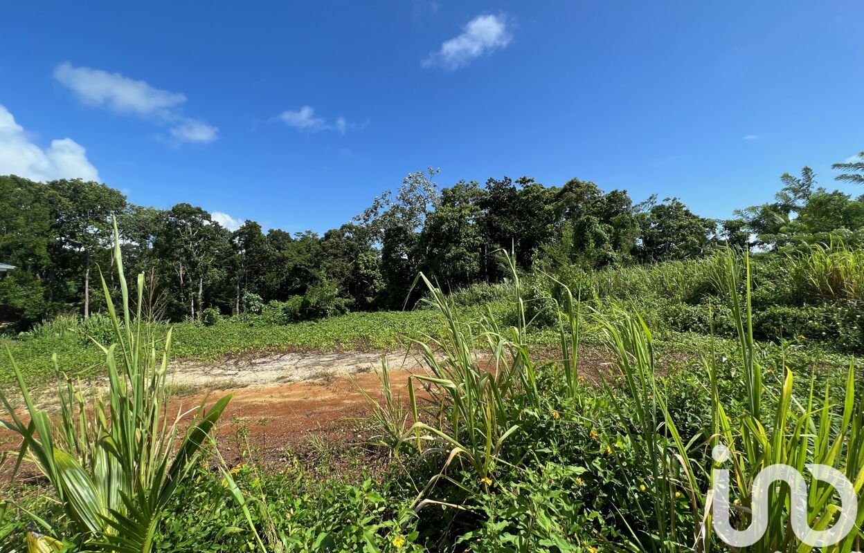 terrain  pièces 722 m2 à vendre à Petit-Bourg (97170)