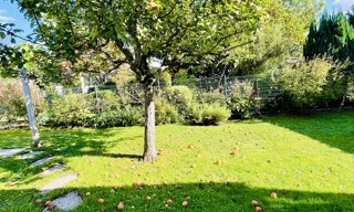 Photo N° 6