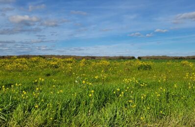 vente terrain 131 500 € à proximité de Saint-Sauveur-d'Aunis (17540)