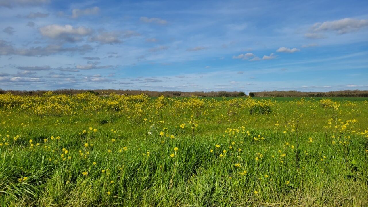 terrain  pièces 408 m2 à vendre à Bourgneuf (17220)