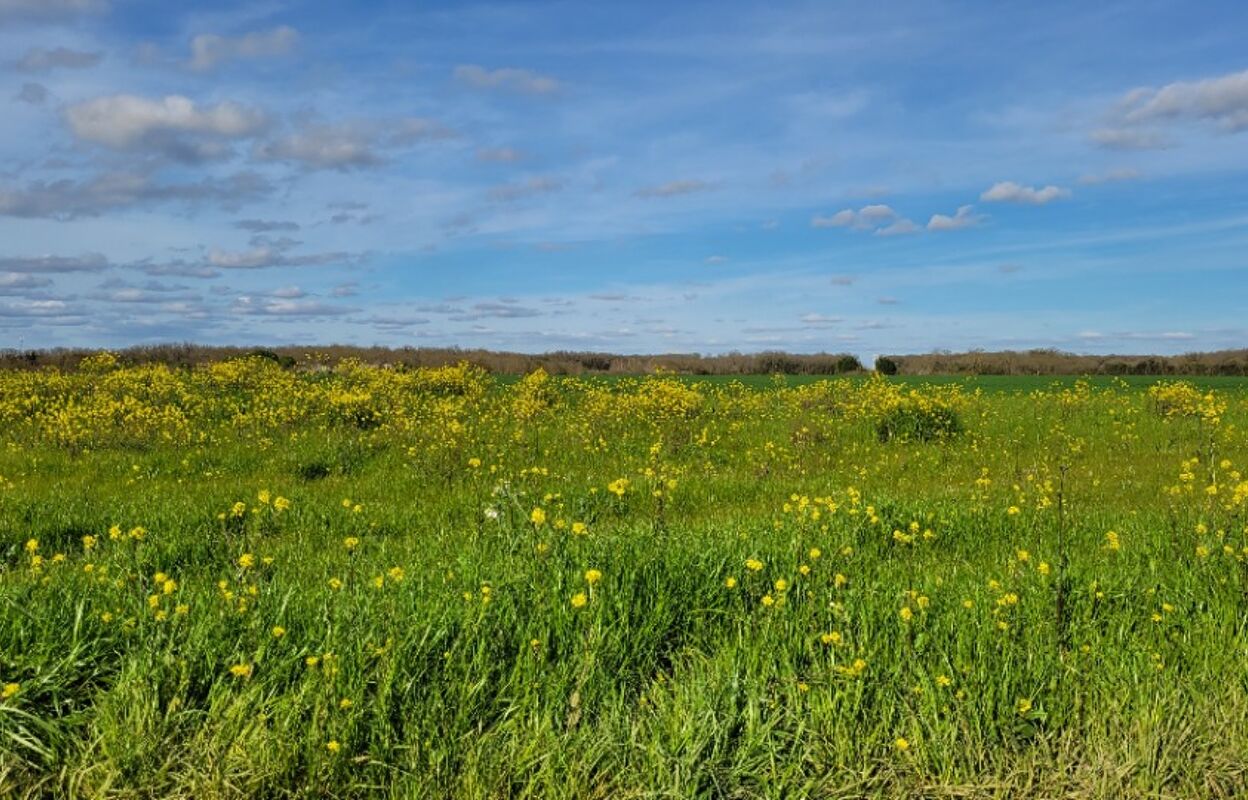 terrain  pièces 408 m2 à vendre à Bourgneuf (17220)