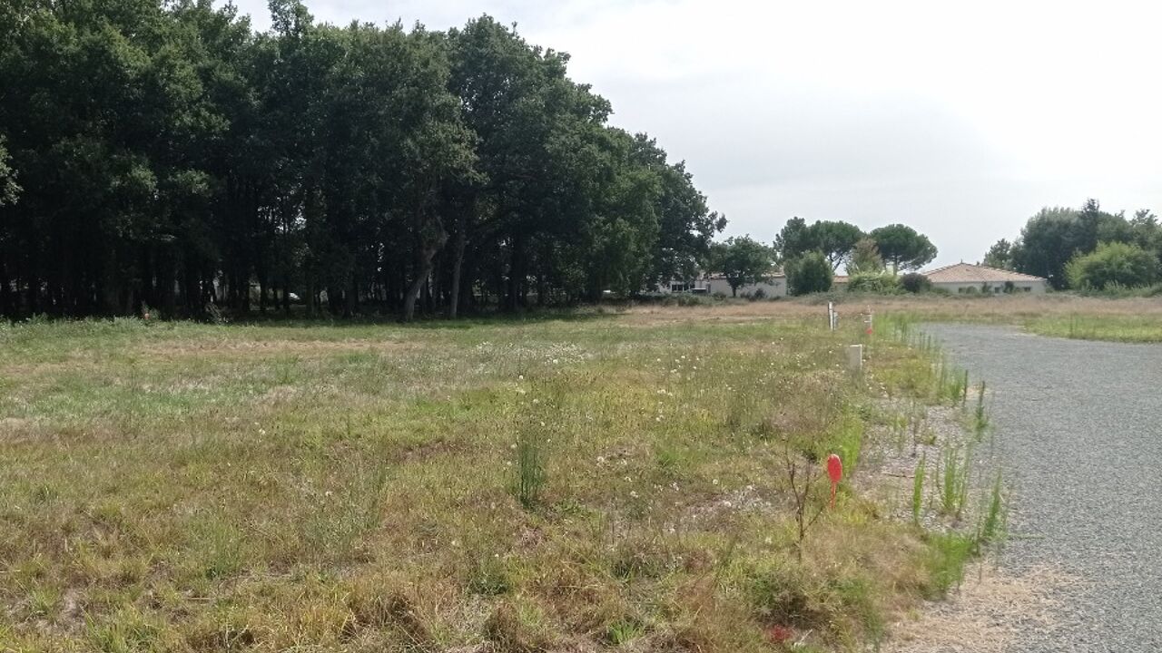 terrain  pièces 550 m2 à vendre à Étaules (17750)