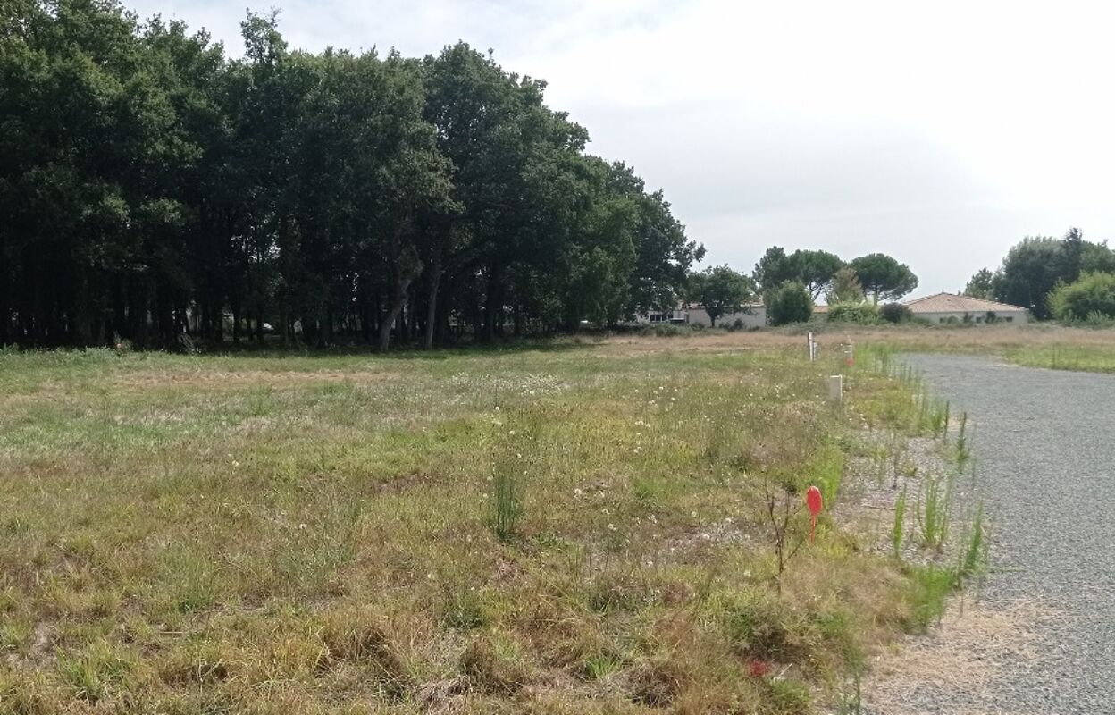 terrain  pièces 550 m2 à vendre à Étaules (17750)