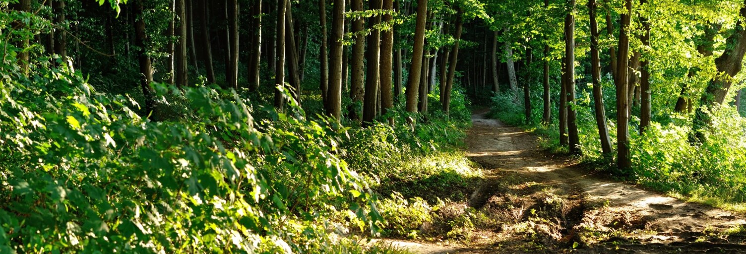 Terrain  829063 m² à vendre à Orches (86230)