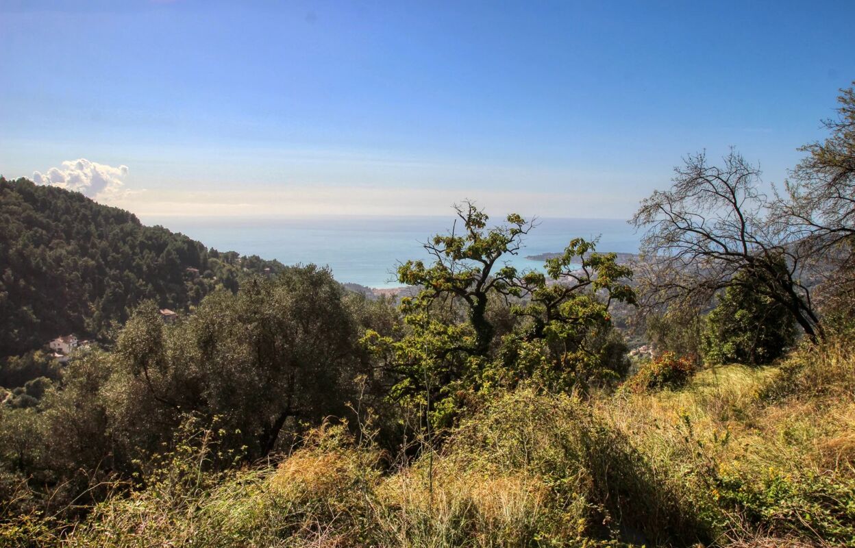 terrain  pièces 1130 m2 à vendre à Menton (06500)