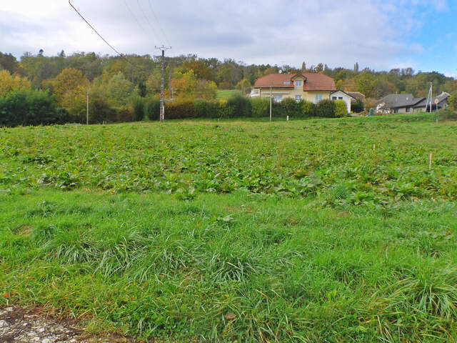 Maison neuve de 108 m² jumelée par le garage sur les premières hauteurs d'Entrelacs — photo du bien