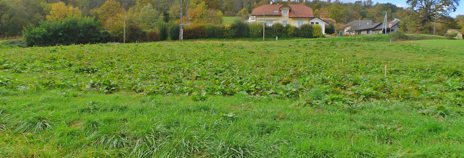 Maison 5 Pièces 108 m² à vendre à Entrelacs (73410)