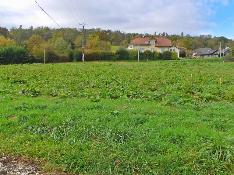 Maison neuve de 108 m² jumelée par le garage sur les premières hauteurs d'Entrelacs — photo 1