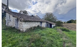 Photo N° 6
