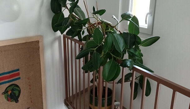 Villa / Maison 3 pièces  à vendre Boulou (Le) 66160