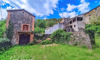 Photo N° 6