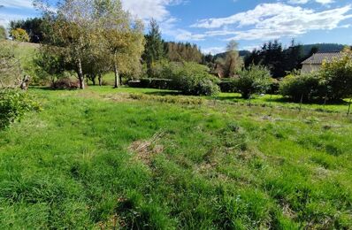 vente terrain 65 000 € à proximité de Saint-Just-Malmont (43240)