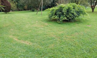 Photo N° 4