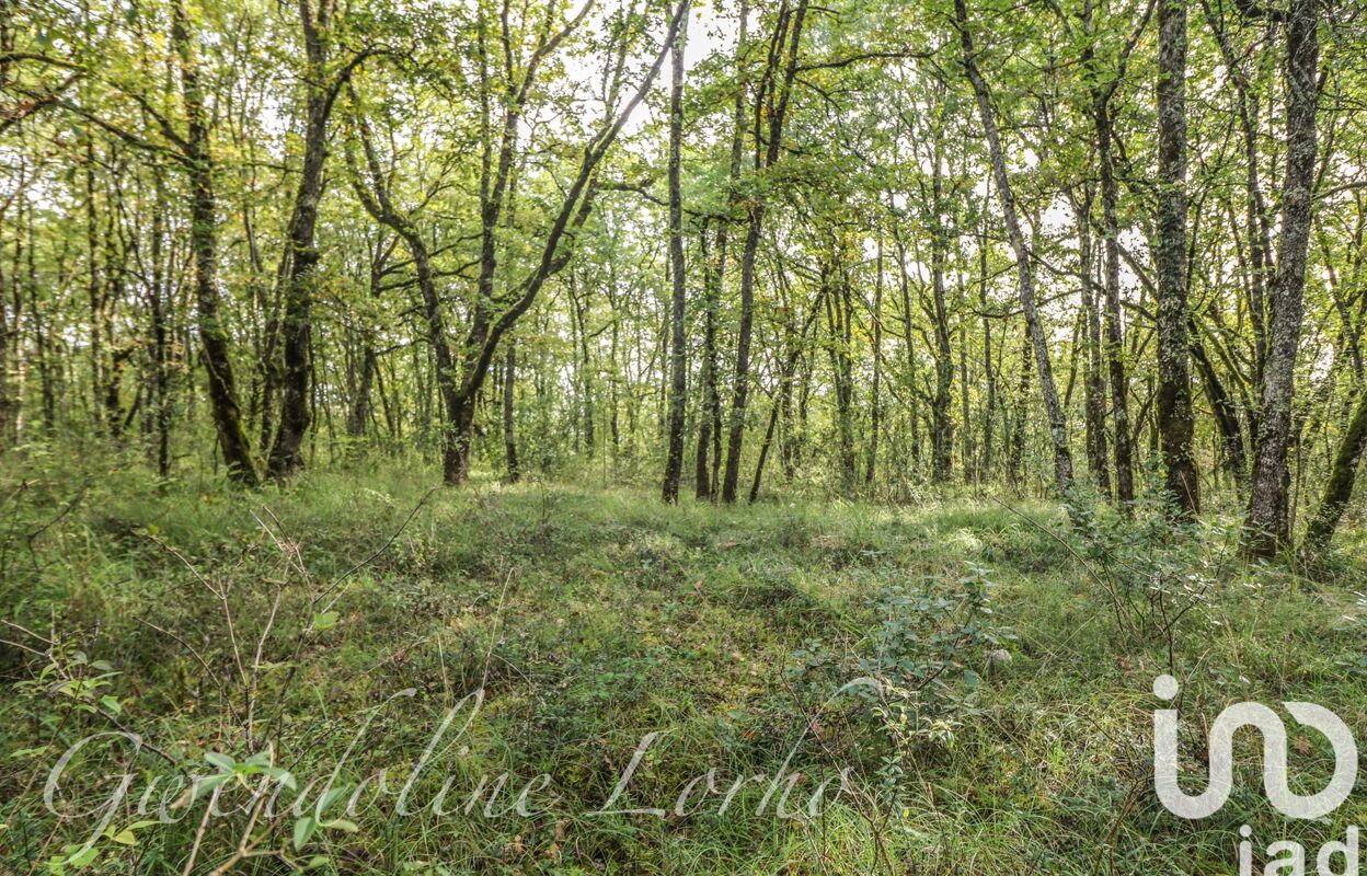 terrain  pièces 247635 m2 à vendre à Puy-l'Évêque (46700)