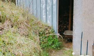 Photo N° 8