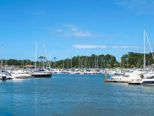 Capbreton Triangle d'Or : Grand Studio à Deux Pas de l'Océan ! — photo du bien