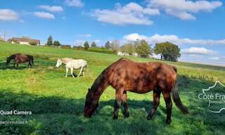 Maison 10 Pièces 160 m² à vendre à Marolles-les-Braults (72260)