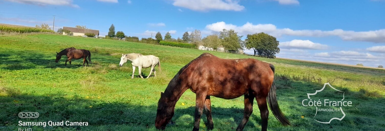 Maison 10 Pièces 160 m² à vendre à Marolles-les-Braults (72260)