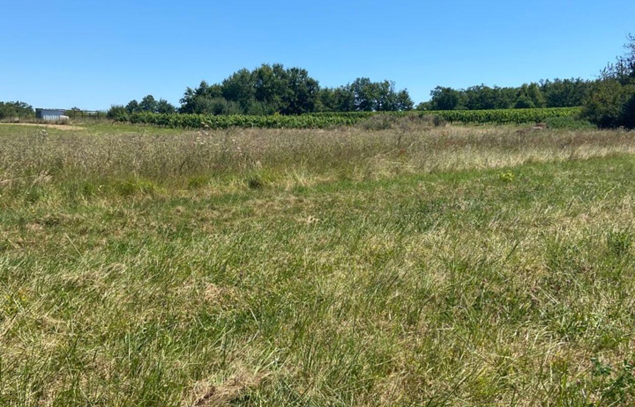 terrain  pièces 850 m2 à vendre à Capian (33550)