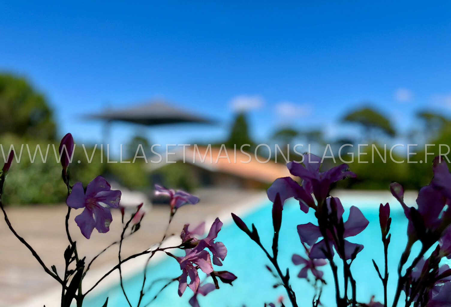 VILLA DE CHARME AU PYLA AVEC 4 CHAMBRES ET PISCINE — photo 1