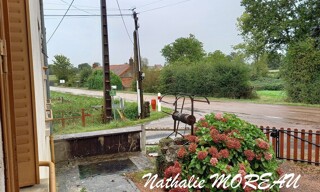 Photo N° 15