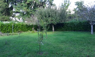 Photo N° 13