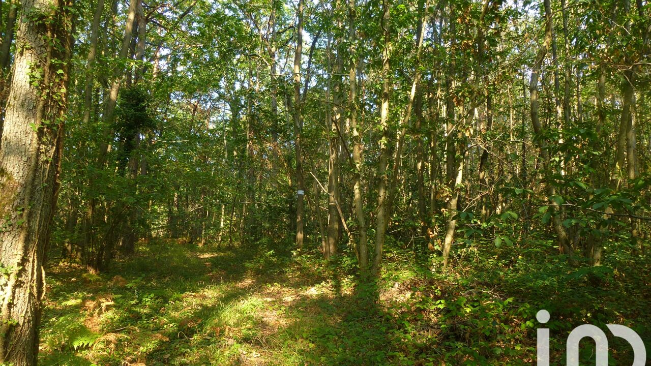 terrain  pièces 3302 m2 à vendre à Traînou (45470)