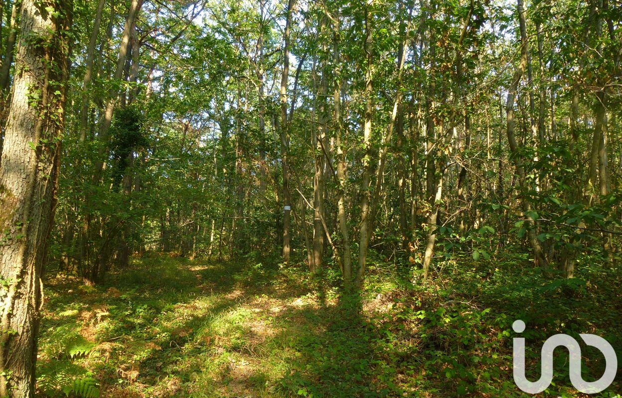 terrain  pièces 3302 m2 à vendre à Traînou (45470)