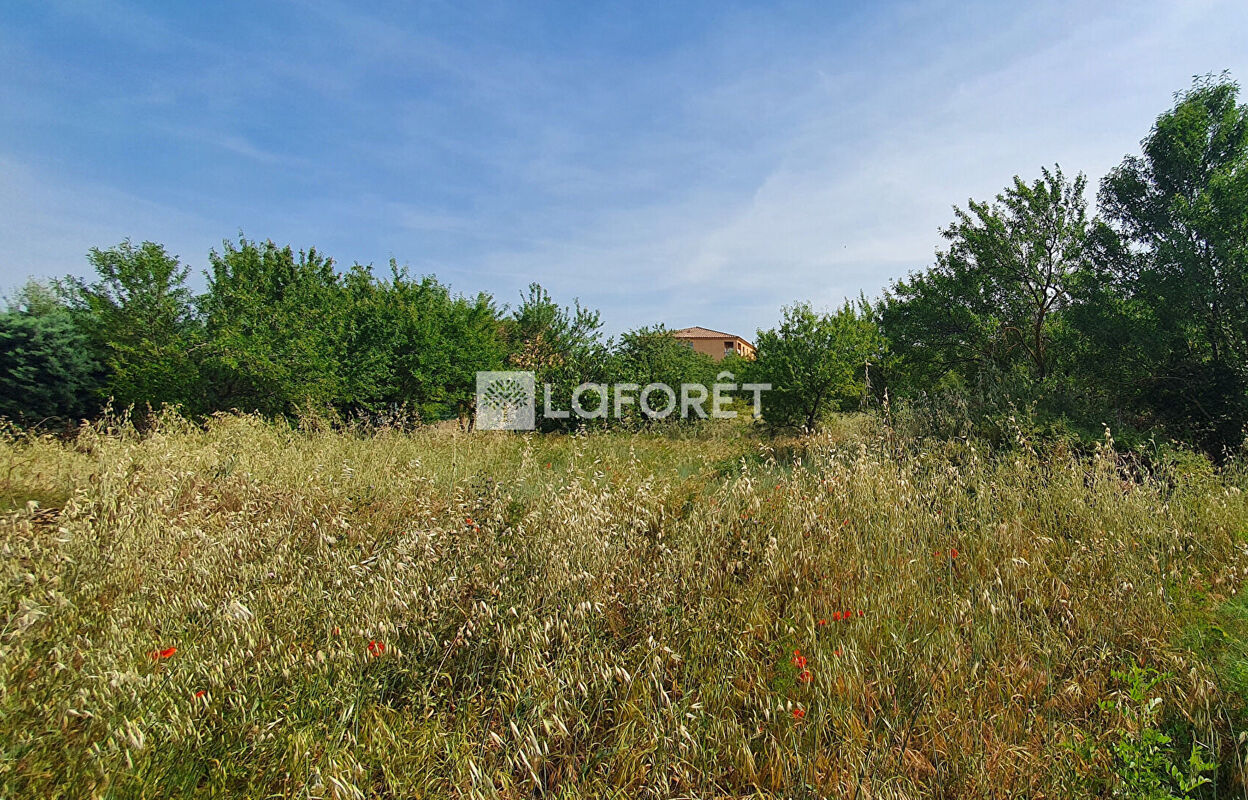 terrain  pièces 2802 m2 à vendre à Sorgues (84700)