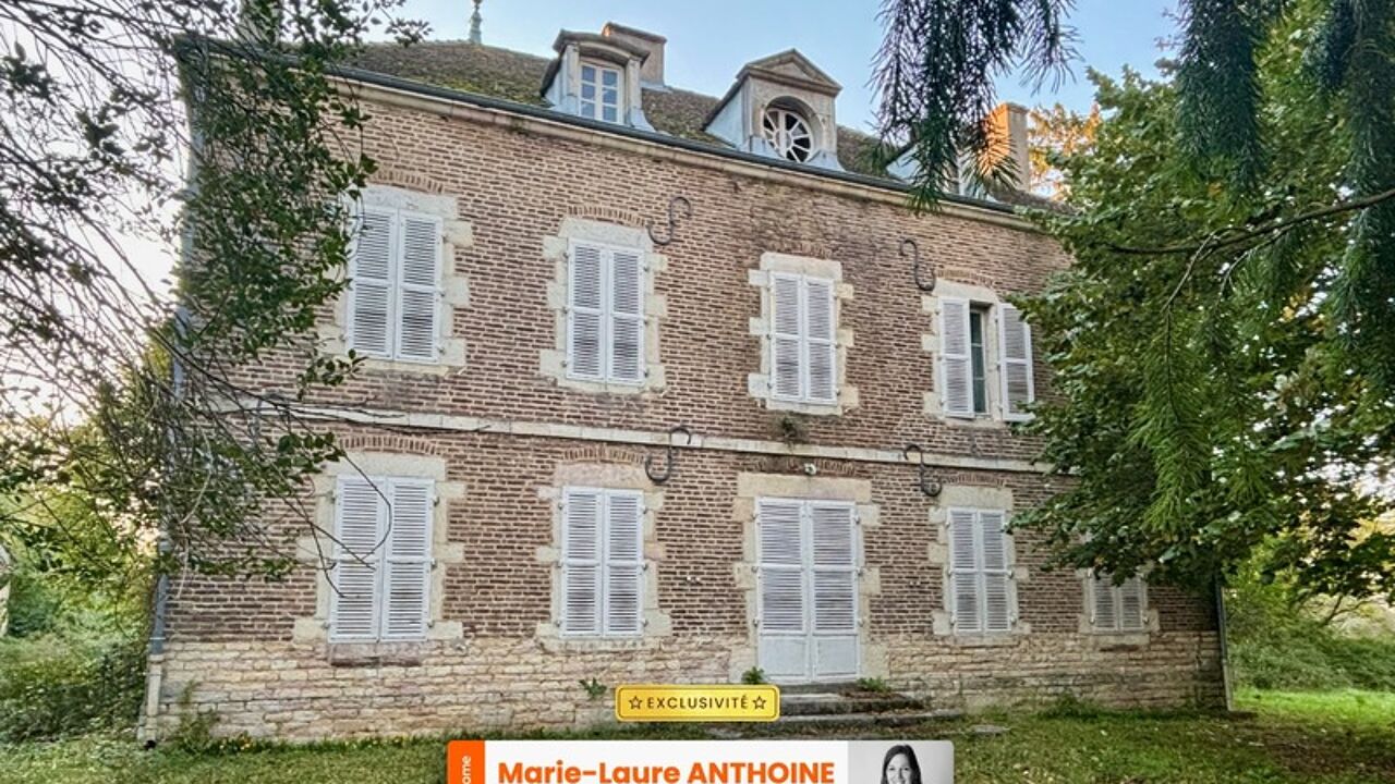 maison 8 pièces 450 m2 à vendre à Pierre-de-Bresse (71270)